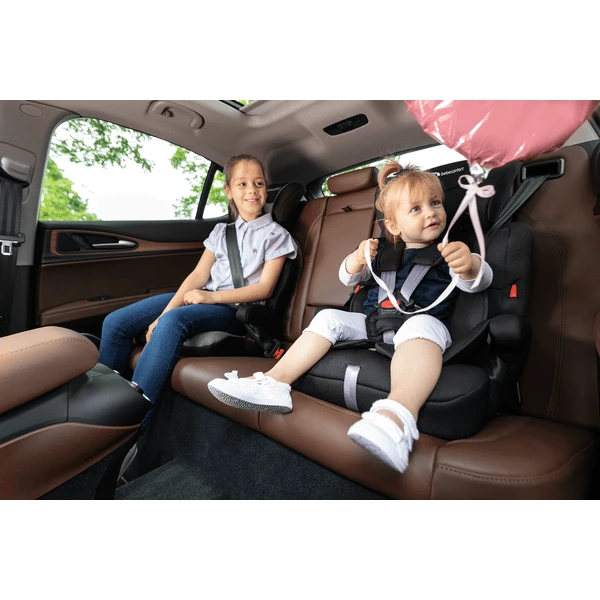 Bébé Confort Bebeconfort Kinderzitje Ever Safe Plus Hot Grey - Image 2