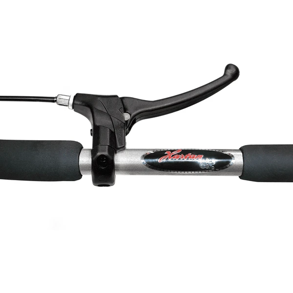 Hartan Pram Racer GTX Met Handrem Zeezijde (207) Framekleur Zilver - Image 3