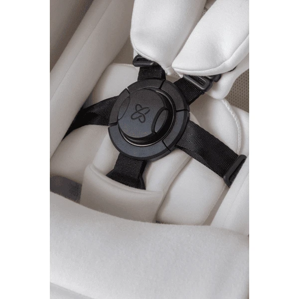 Silver Cross Pasgeboren Pod Earth - Image 4